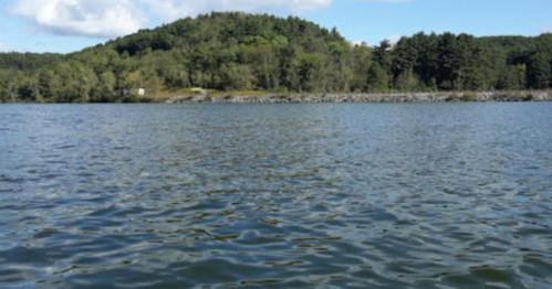 A serene lake with gentle ripples, surrounded by lush green hills and trees under a clear blue sky.