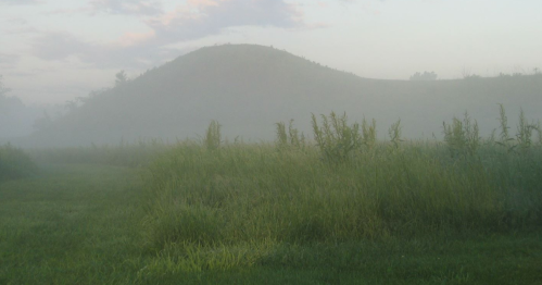A misty landscape with tall grass in the foreground and a low hill shrouded in fog in the background.