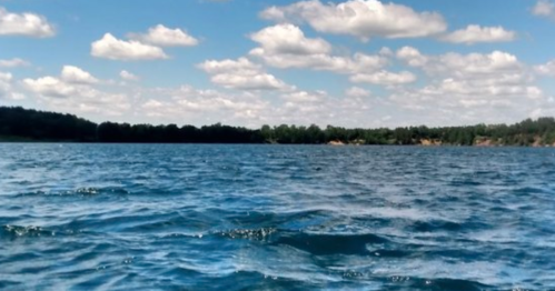 A serene body of water with gentle waves, surrounded by trees and a blue sky filled with fluffy clouds.