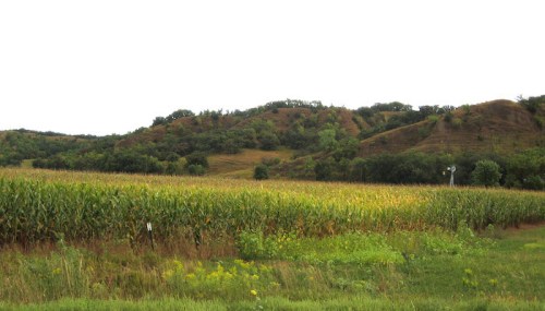 A scenic landscape featuring rolling hills, a cornfield, and patches of greenery under a cloudy sky.