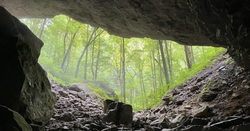 View from inside a cave, looking out at a misty forest with green trees and rocky terrain.