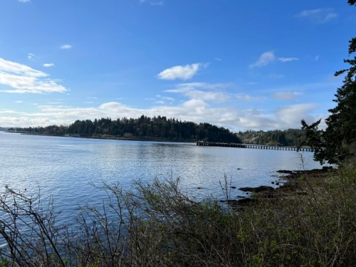 A serene coastal view with calm water, distant trees, and a pier under a blue sky with scattered clouds.