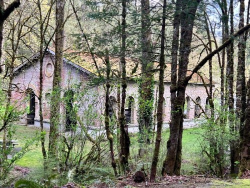 A rustic building surrounded by trees and greenery, set in a serene forested area.