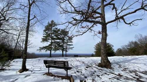 A snowy landscape with a wooden bench under bare trees, overlooking a distant view of hills and a cloudy sky.