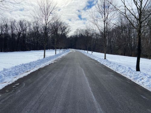 A snow-covered road lined with bare trees, leading into a wooded area under a cloudy sky.