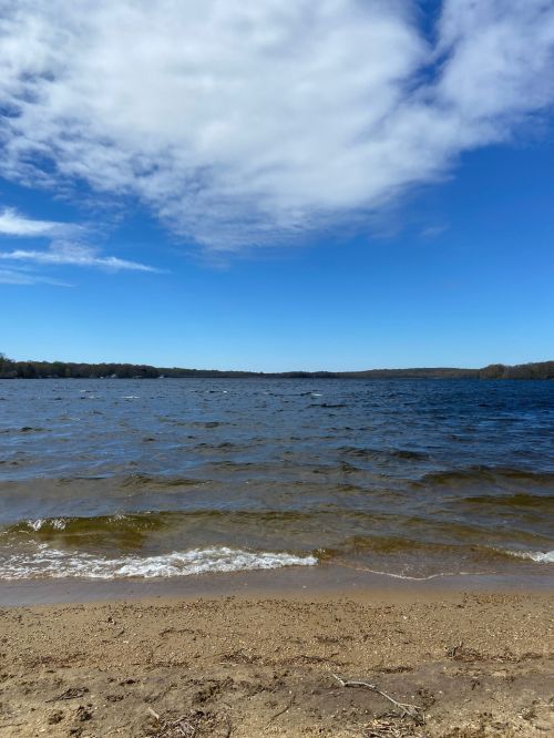 A serene lakeside view with gentle waves, sandy shore, and a clear blue sky with scattered clouds.