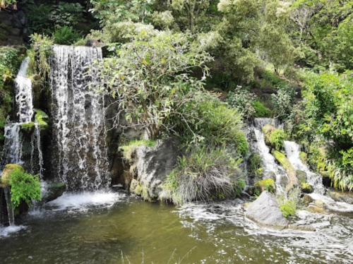 A serene waterfall cascading over rocks, surrounded by lush greenery and a calm pool of water below.