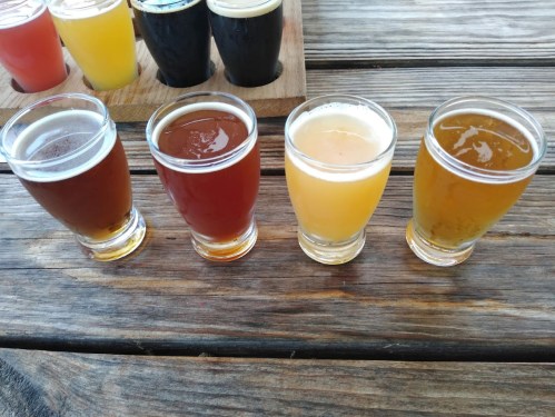 A row of four small glasses filled with different colored beers on a wooden table.