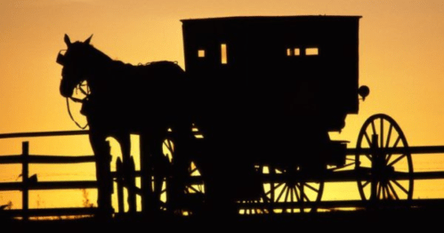 Silhouette of a horse and carriage against a vibrant sunset sky.