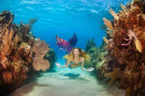 A smiling mermaid swims through a vibrant coral reef, surrounded by colorful marine life and clear blue water.