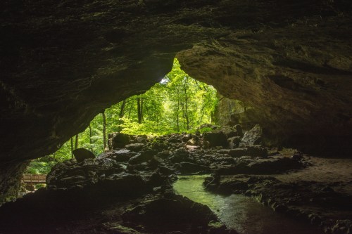 A cave entrance framed by lush greenery, with rocks and a small stream visible inside.