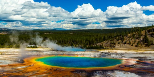 A vibrant hot spring with blue water and orange edges, surrounded by green trees and a cloudy sky in Yellowstone National Park.