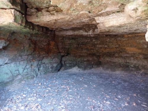 A rocky cave interior with rough walls and a dirt floor, scattered with dry leaves.