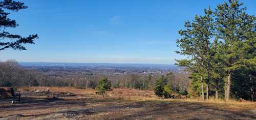 A scenic view of a valley with trees in the foreground and a clear blue sky above.