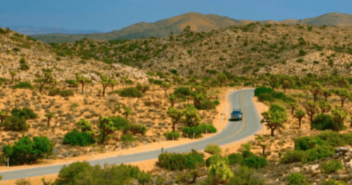 A winding road through a desert landscape with mountains and Joshua trees under a clear blue sky.