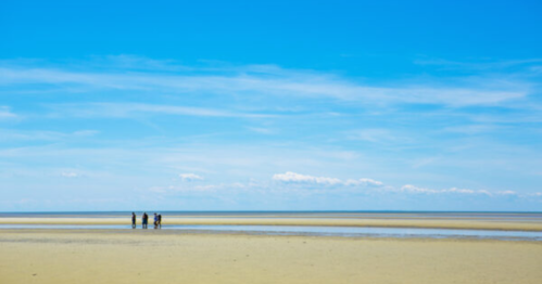 Four people stand on a sandy beach under a clear blue sky, with calm water stretching out to the horizon.