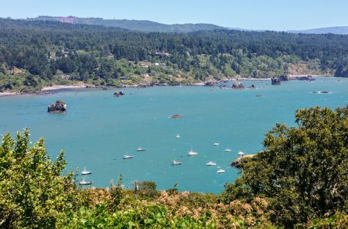 A scenic view of a turquoise bay surrounded by green hills and dotted with small boats.