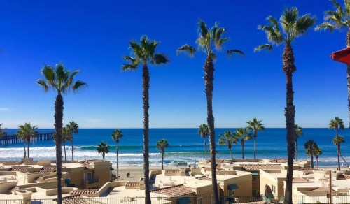A sunny beach scene with palm trees, ocean waves, and coastal buildings under a clear blue sky.