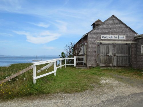 A rustic wooden building labeled "Osterville Sea Farms" beside a grassy area and water under a blue sky.