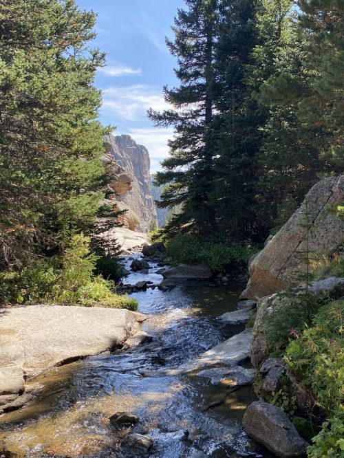 A serene stream flows through a rocky landscape, surrounded by lush trees and towering cliffs under a clear blue sky.