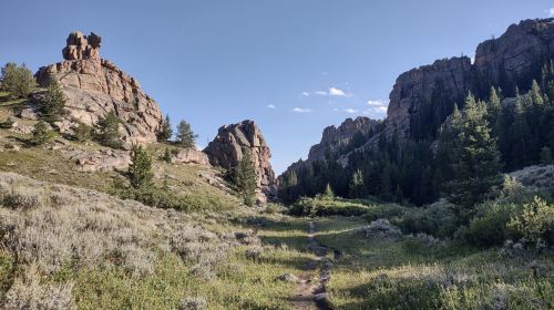 A scenic trail winds through rocky formations and lush greenery under a clear blue sky.
