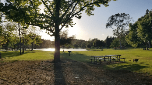 A serene park scene with a lake, trees, and picnic tables under a clear sky during sunset.