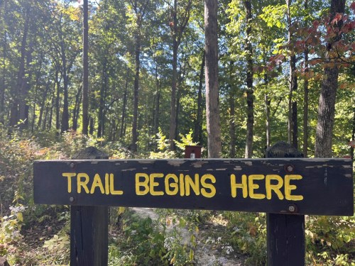 A wooden sign in a forest reads "TRAIL BEGINS HERE," surrounded by trees and greenery.