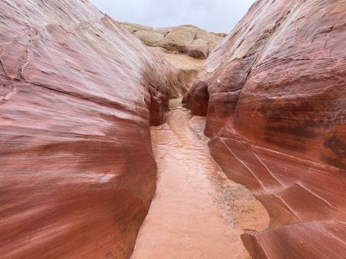 Narrow canyon with smooth, red rock walls and a small stream running through the center. Overcast sky above.