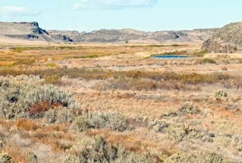 A vast, open landscape with dry grasses, shrubs, and distant hills under a clear blue sky. A small pond is visible.