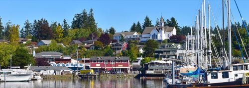 A scenic waterfront view featuring boats, colorful buildings, and lush trees under a clear blue sky.