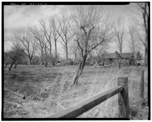 A rural landscape featuring bare trees, tall grass, and a wooden fence, with a house in the background under a cloudy sky.