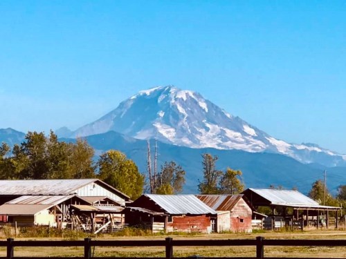 A snow-capped mountain rises in the background, with rustic barns and trees in the foreground under a clear blue sky.