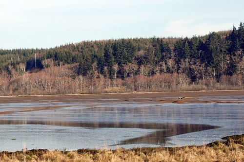 A serene landscape featuring a calm water body surrounded by trees and a distant forested hill under a clear sky.