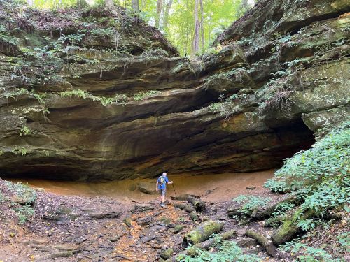 A hiker stands near a large rock overhang in a lush, green forest with ferns and trees surrounding the area.