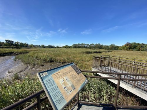 A scenic view of a marshland with a wooden observation deck and informational sign under a clear blue sky.