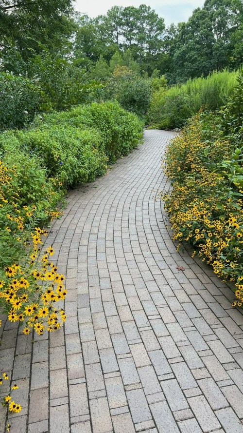 A winding brick pathway surrounded by lush greenery and vibrant yellow flowers.