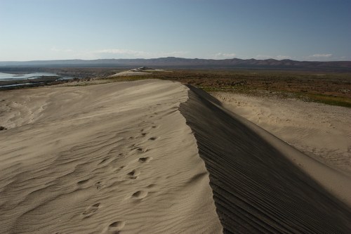 A sandy dune with dark streaks, stretching across a vast landscape under a clear blue sky. Mountains in the distance.
