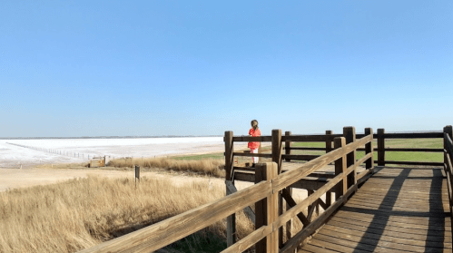 A person stands on a wooden deck overlooking a vast salt flat under a clear blue sky.