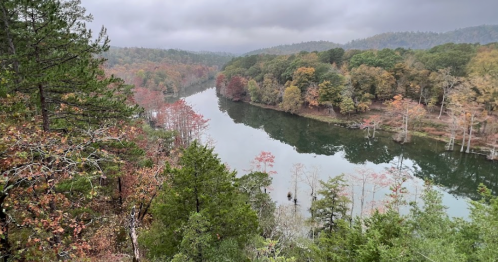 A serene river winds through a forest with autumn foliage, under a cloudy sky.