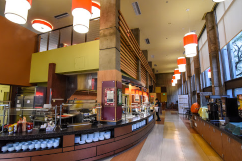 Interior of a modern cafeteria with a serving area, large windows, and pendant lighting.