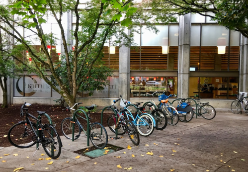 Bicycles parked along a sidewalk near a building with large windows and trees in the foreground.
