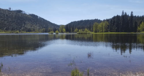 A serene lake surrounded by lush green trees and mountains under a clear blue sky. Reflections shimmer on the water.