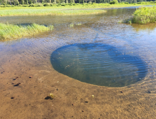 A circular area in a calm body of water, surrounded by grass and reflecting the sky above.