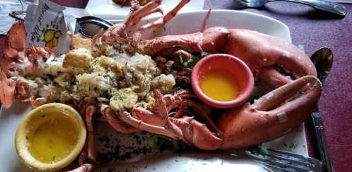 A large lobster dish served with melted butter and a side of seasoning on a white plate.