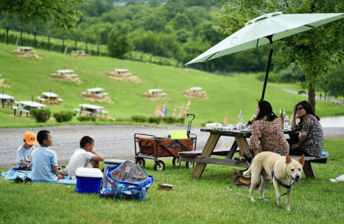 A family picnic on a grassy area with children, adults, a dog, and picnic supplies under an umbrella.