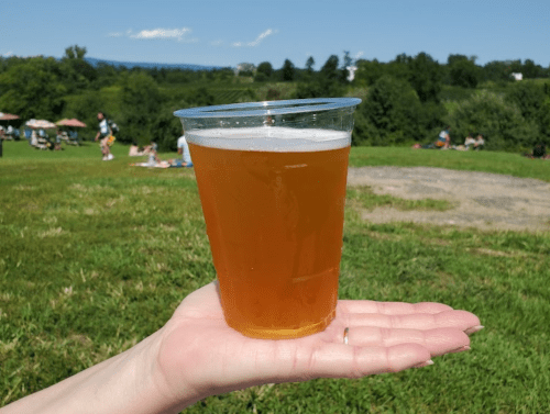 A hand holding a clear cup of golden beer, with a grassy field and people in the background on a sunny day.