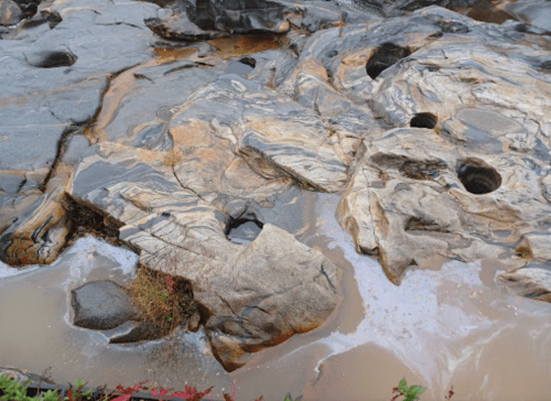 Rocky surface with smooth, multicolored stones and small pools of water, surrounded by vegetation.