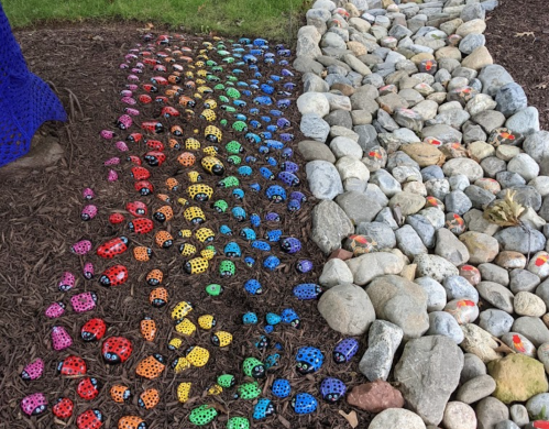 A colorful arrangement of painted ladybug rocks in a rainbow pattern beside a path of smooth stones.
