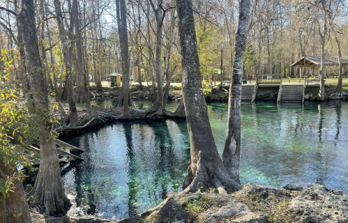 A serene natural scene featuring a clear blue spring surrounded by trees and a wooden deck in the background.