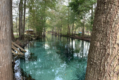 A serene, clear blue river surrounded by trees, with a wooden dock and a small building in the background.